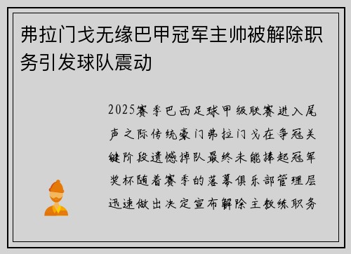 弗拉门戈无缘巴甲冠军主帅被解除职务引发球队震动
